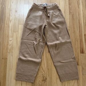 Everlane Camel Cozy Stretch Wool Yak Wide Leg Sweatpant Sz L